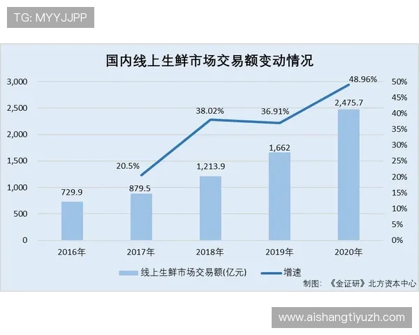 博鱼体育官网控股在行业中的竞争优势与市场布局全景解读