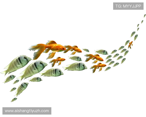 PNG电子图片素材大全，提供丰富的游戏元素图像提升你的作品品质