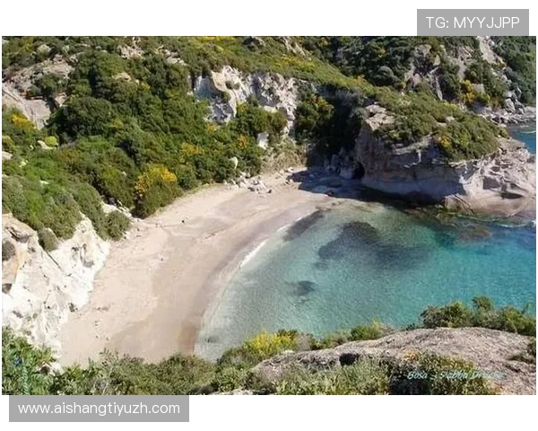 探索皇家官网入口最新动态，助力用户便捷访问皇家资源